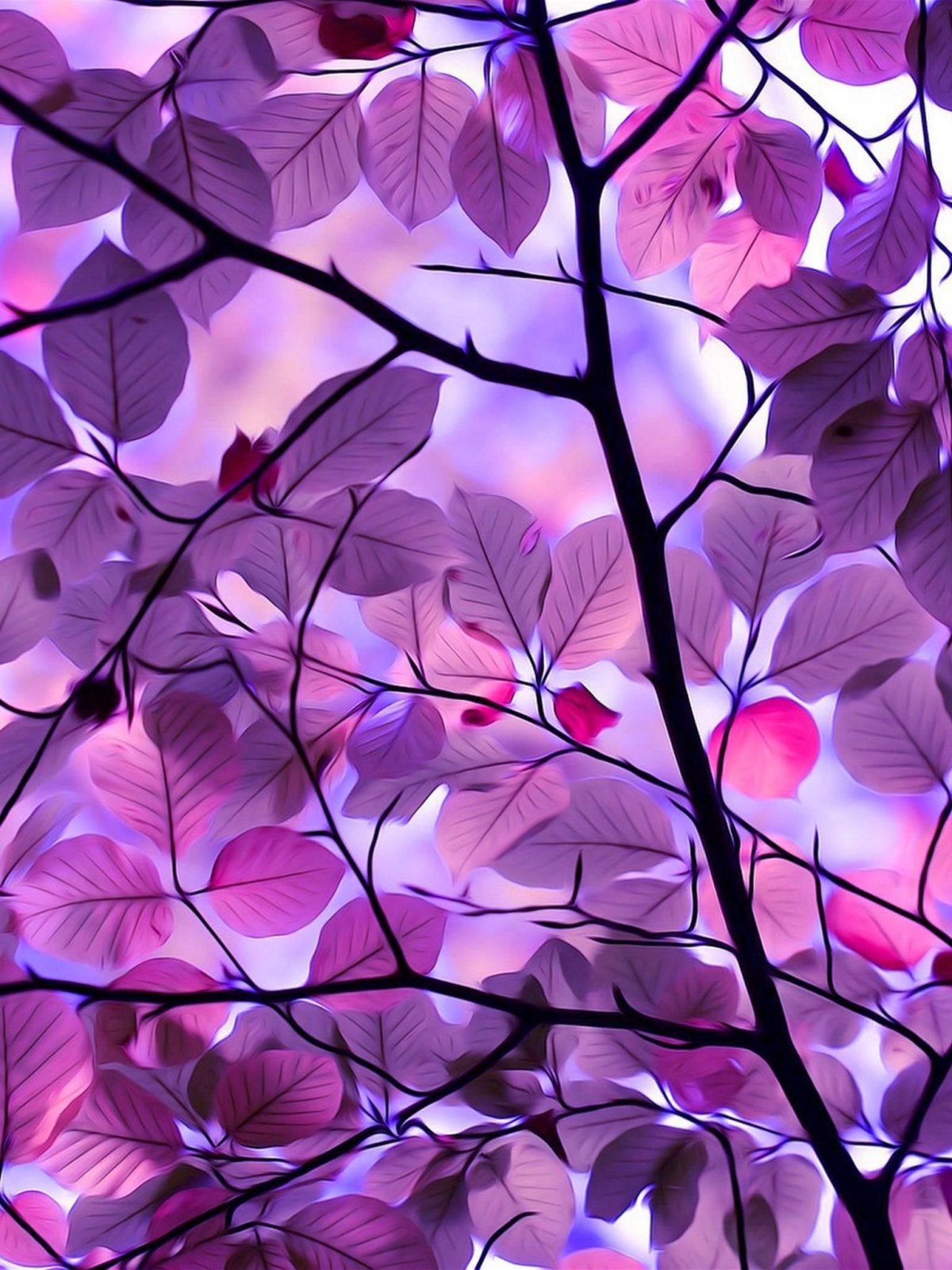 Фотообои самсунг