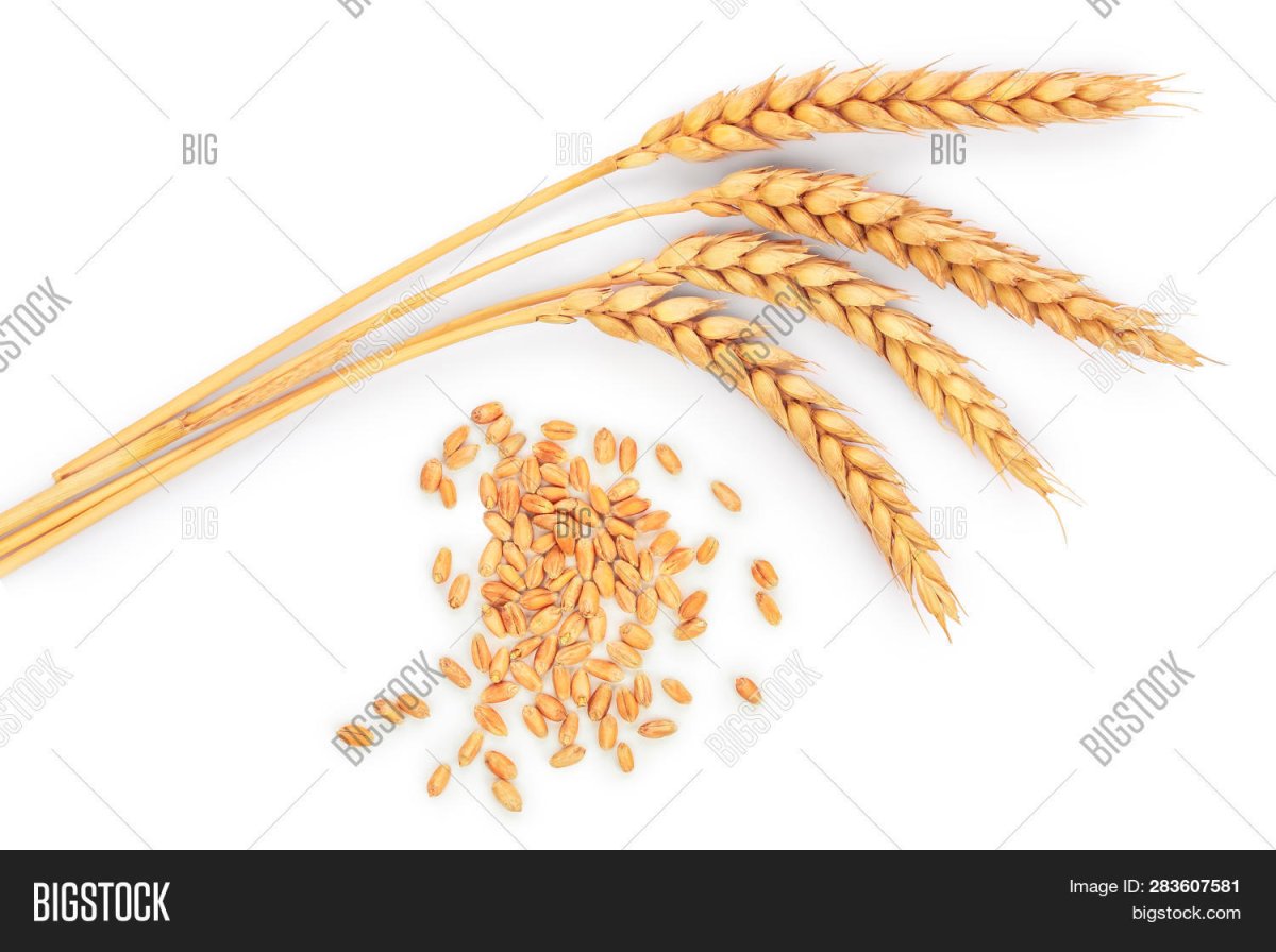 Россыпь рожь сверху