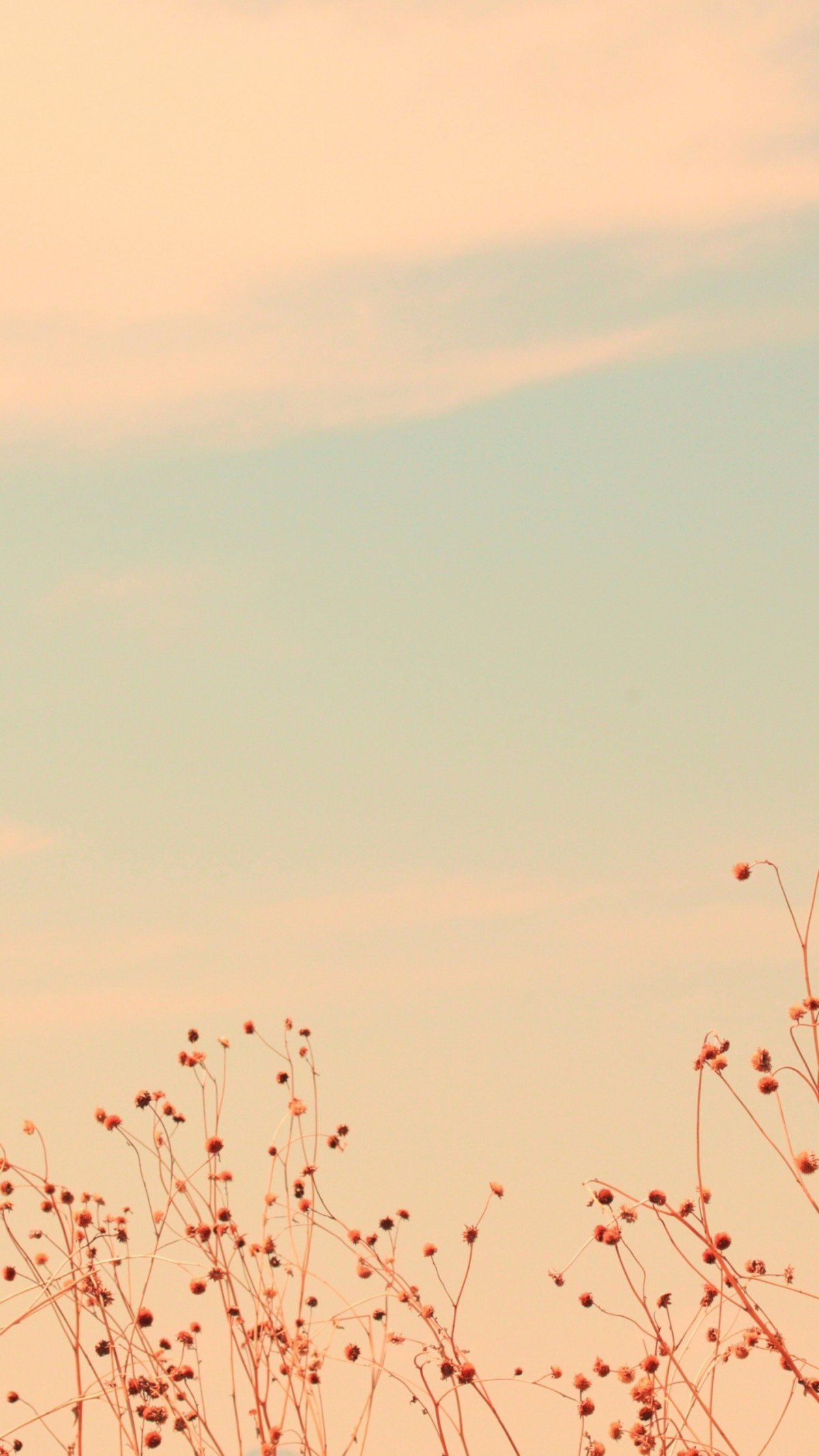 Пейзаж Эстетика