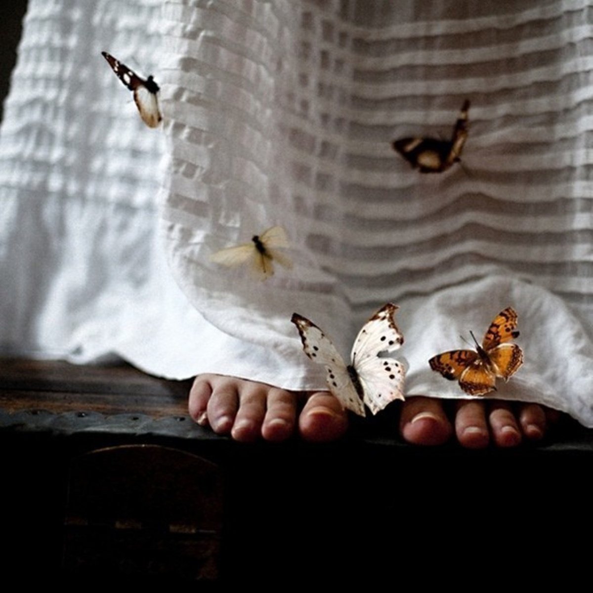 Бабочки вылетают