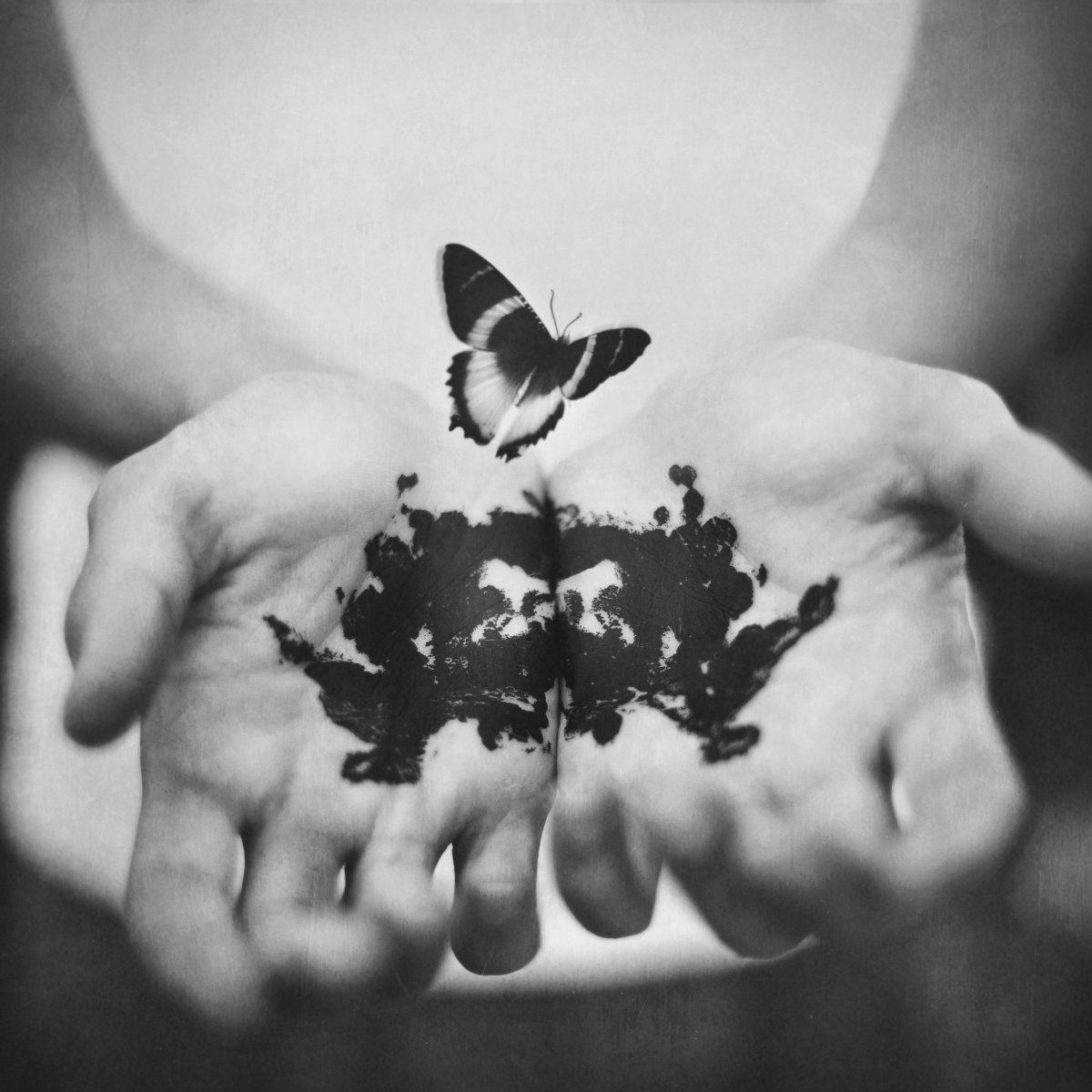 Бабочки любовь