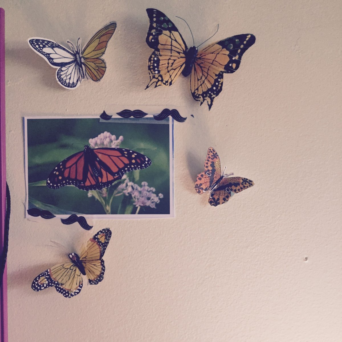 Бабочки Эстетика Пинтерест