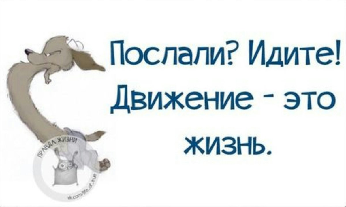 Послали идите движение это жизнь