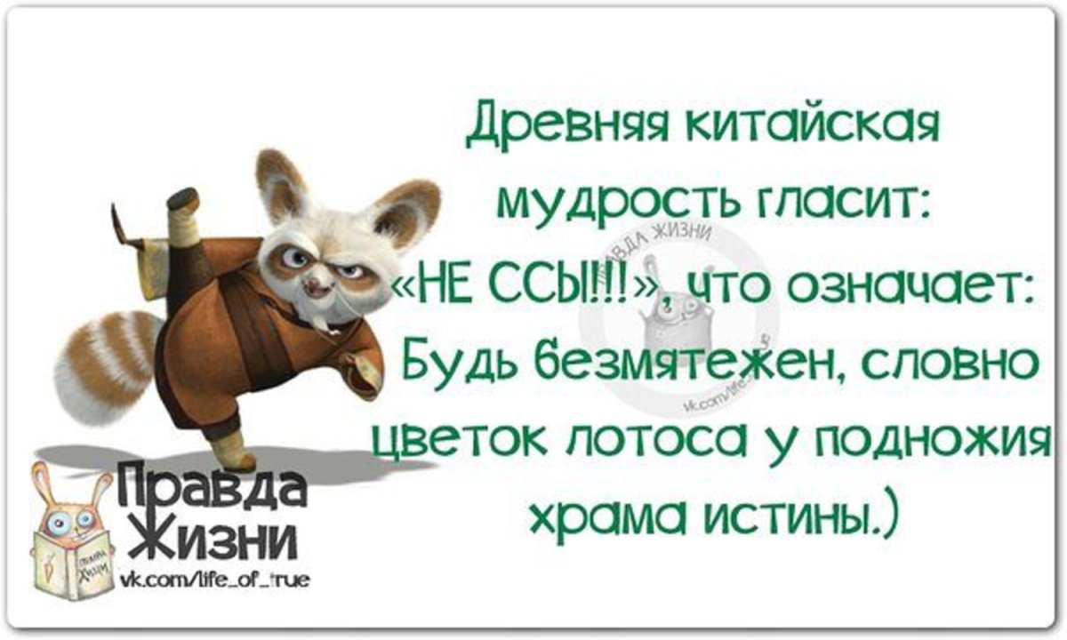 Мудрость с юмором в картинках