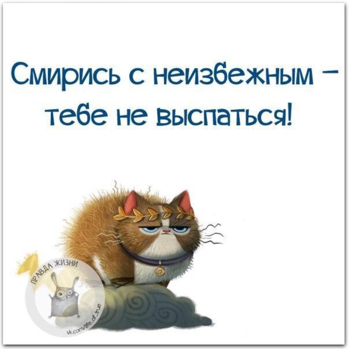 Смирись с неизбежным тебе не выспаться