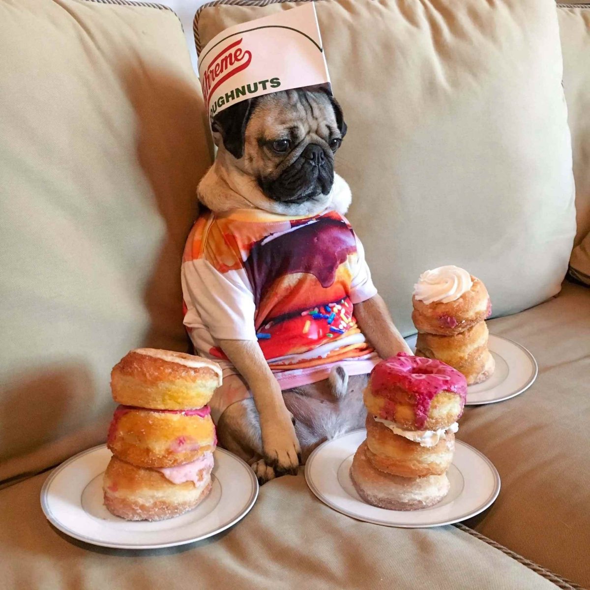 Доброго утра удачного дня