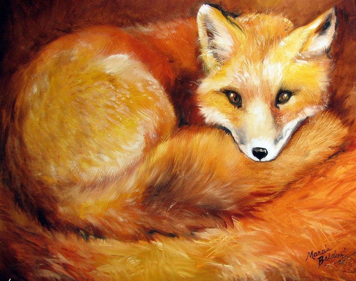 Лисы живопись