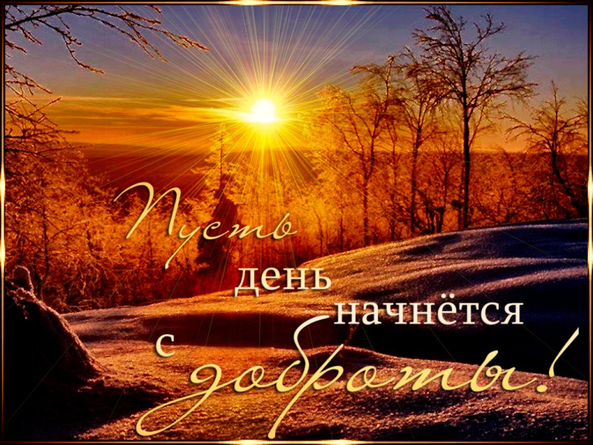 Восход солнца цветы