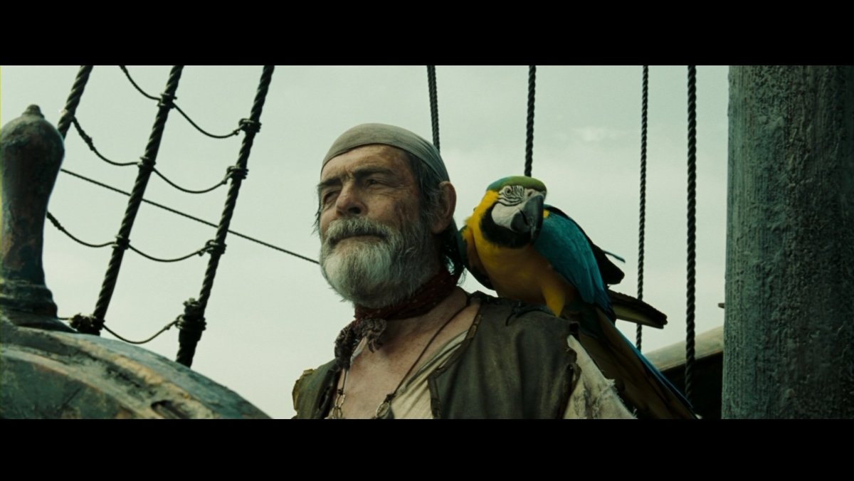 Пираты Карибского моря с попугаем