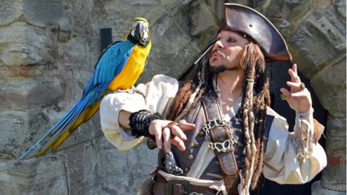 Капитан Джек Воробей с попугаем
