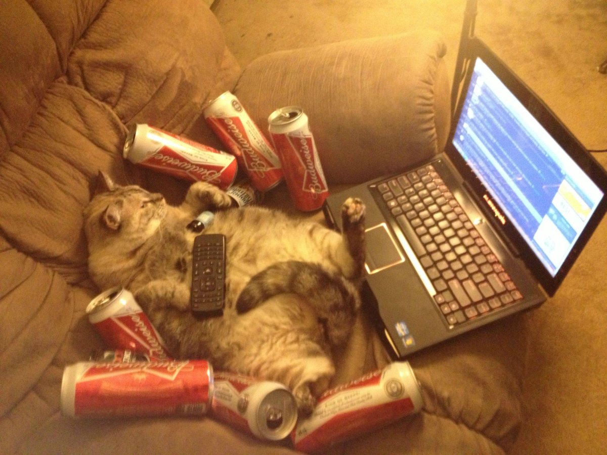 Выходные картинки прикольные