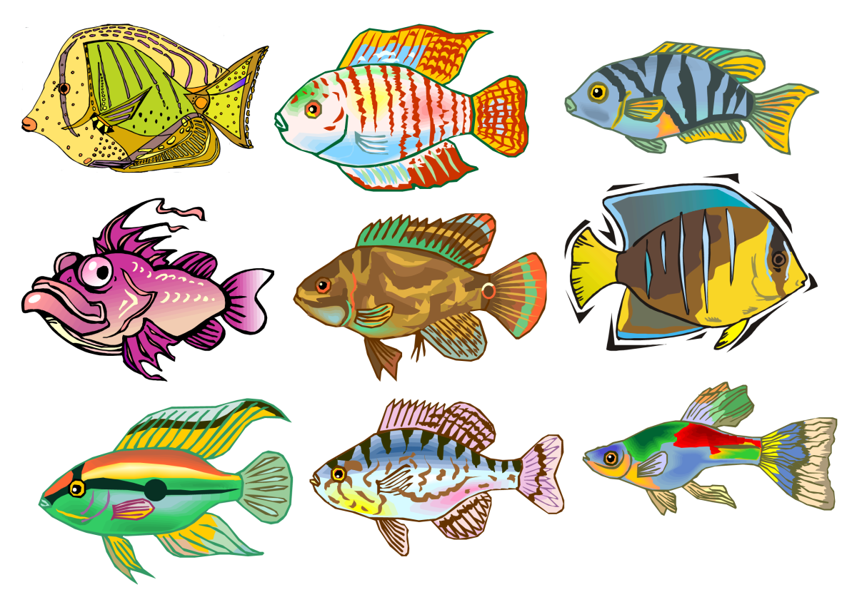 Аквариумные рыбы Пресноводные