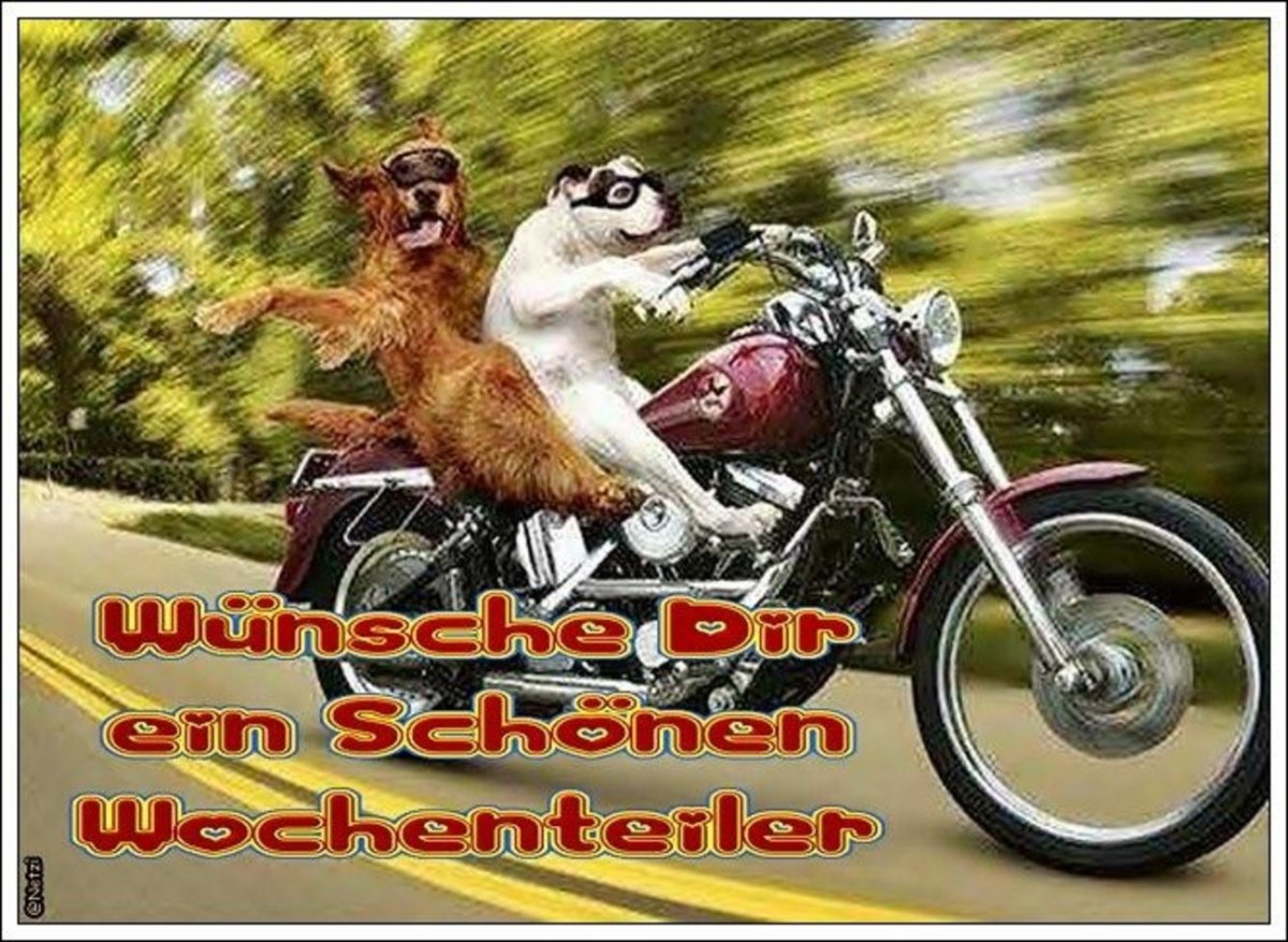 Прикольный байкер