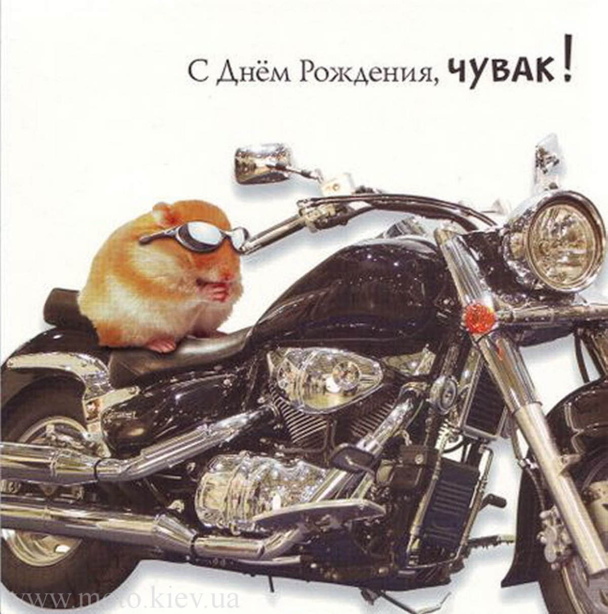 Поздравление мотоциклисту