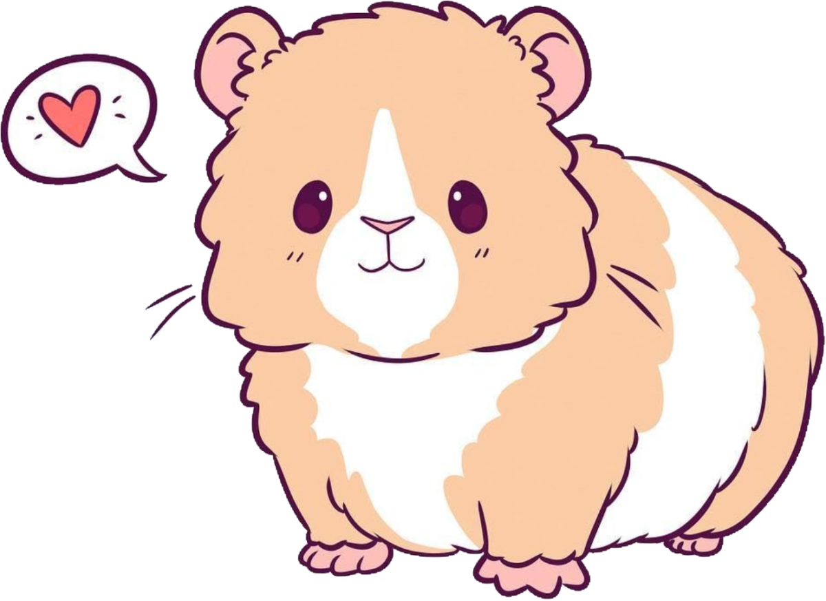 Картинки хомячков для срисовки