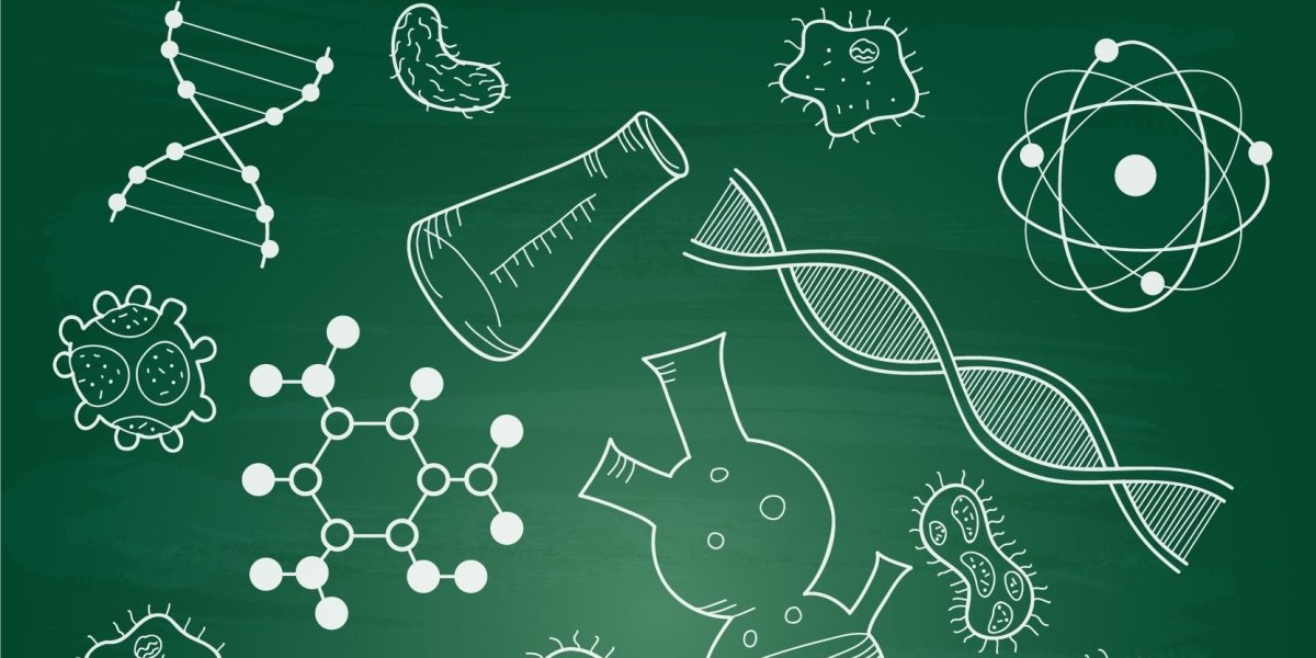 Фон по биологии