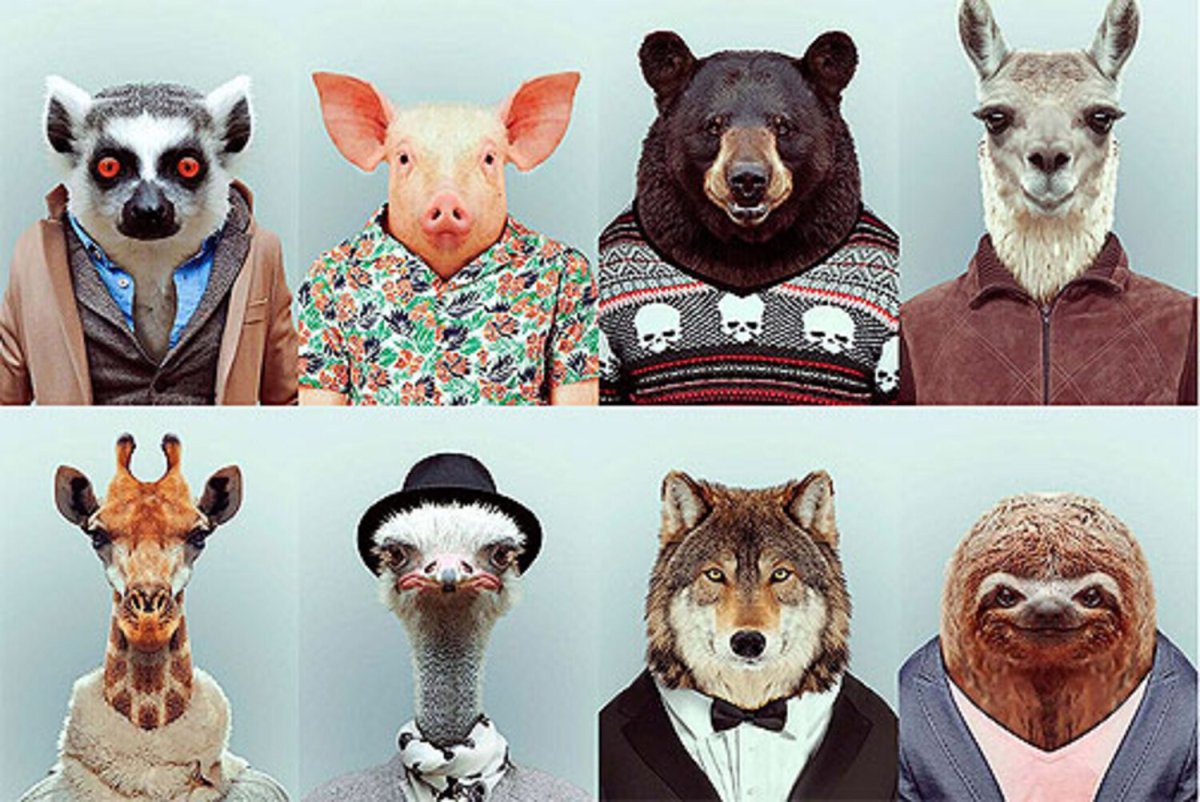 Животные в человеческой одежде