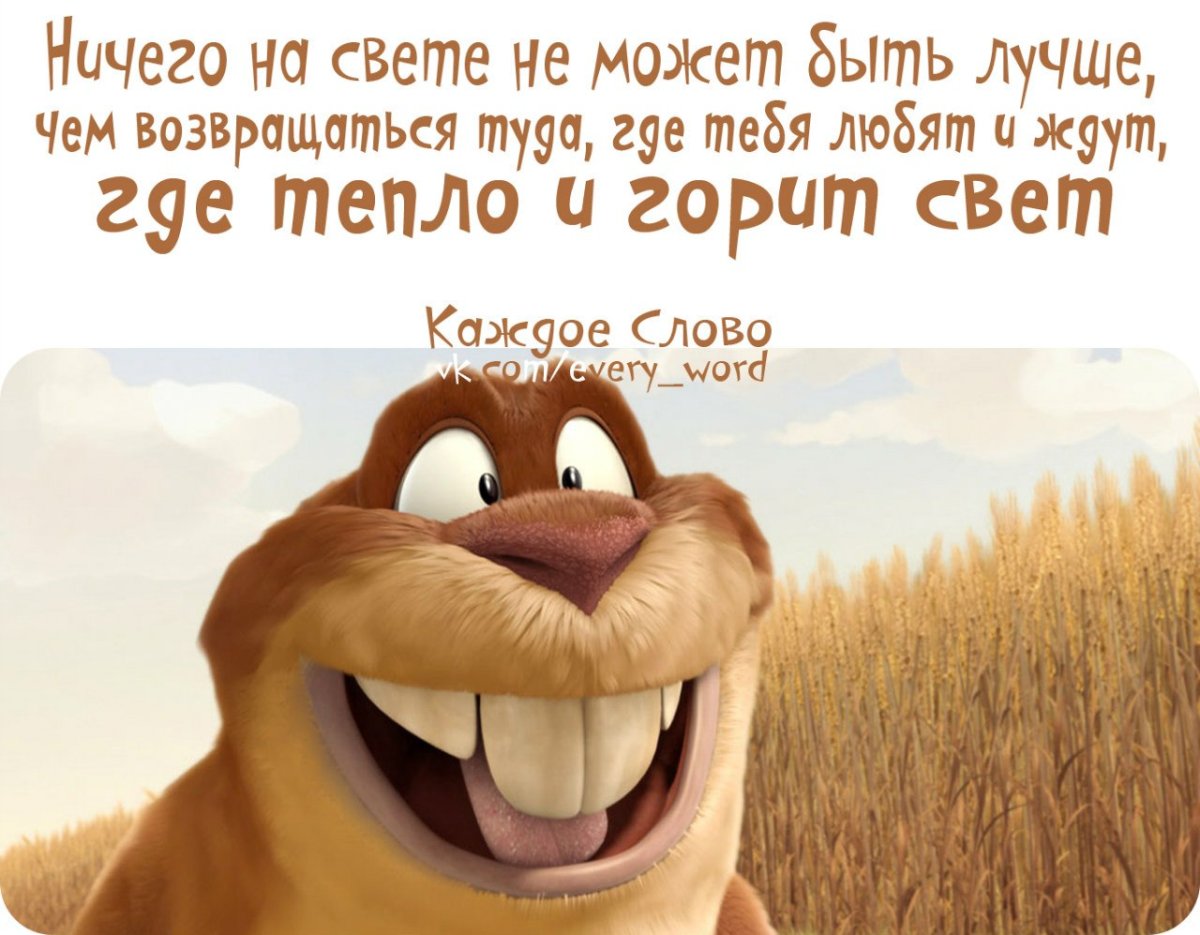 Приветствие с приездом