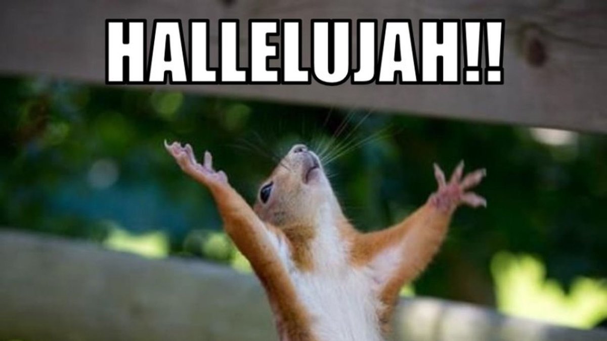 Труд сделал из обезьяны человека