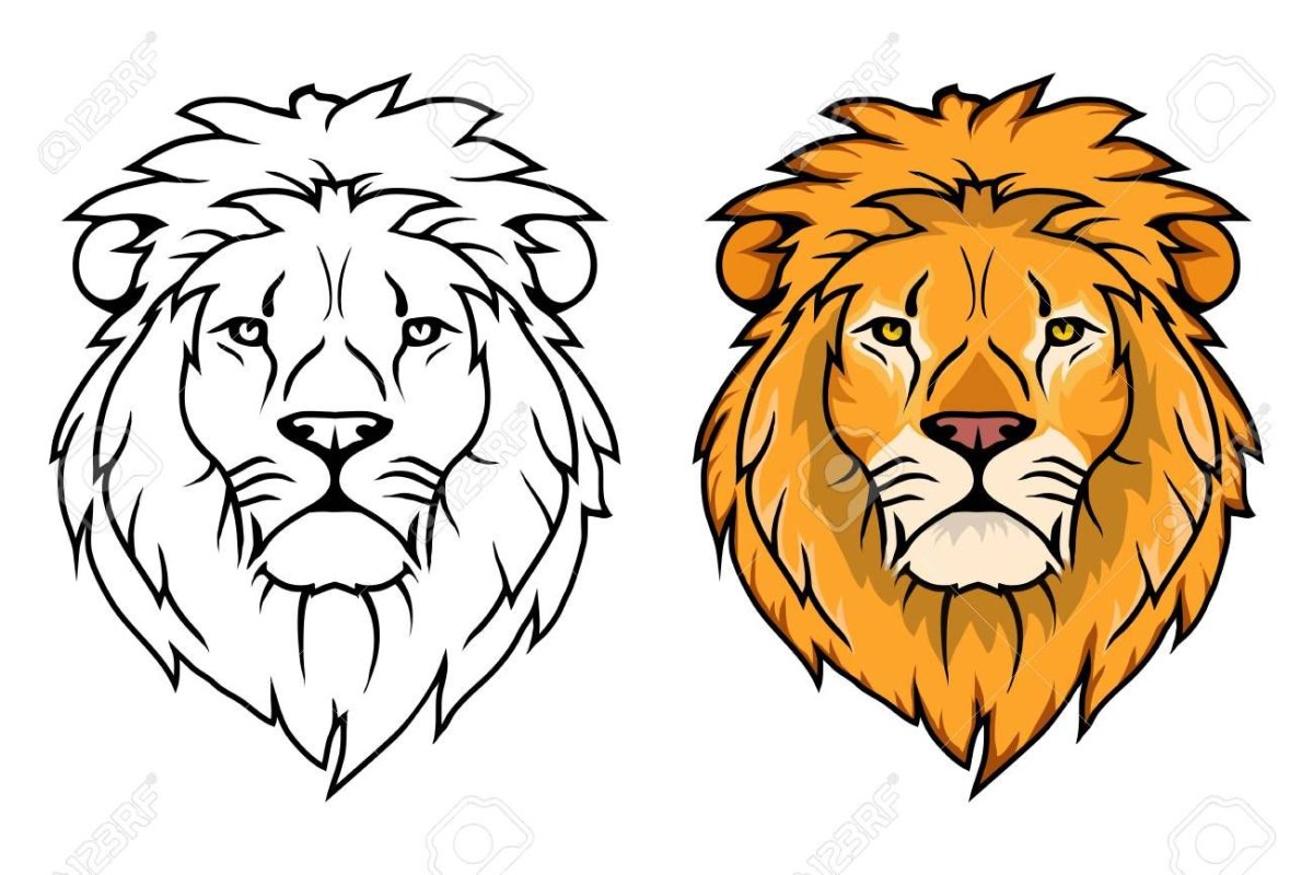 Морда Льва и фаз и профиль