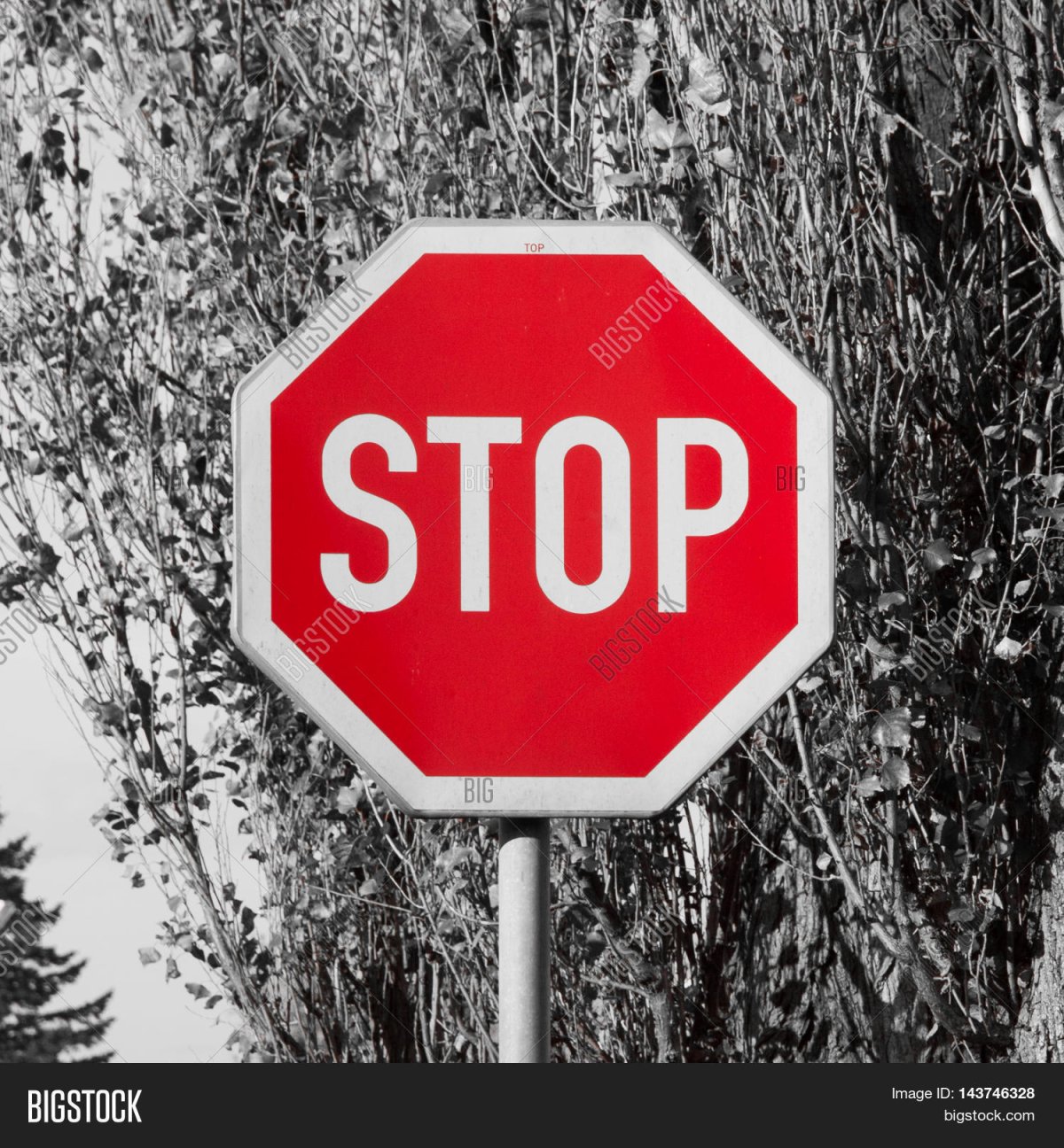 Восьмиугольный знак стоп