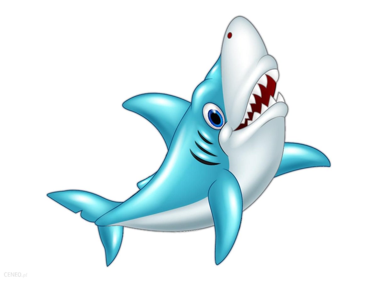 Акуленок на белом фоне