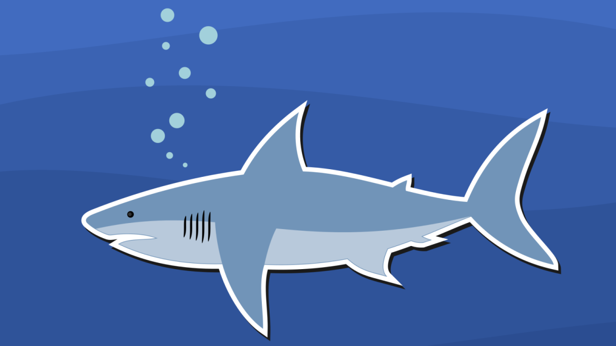 Милая акула