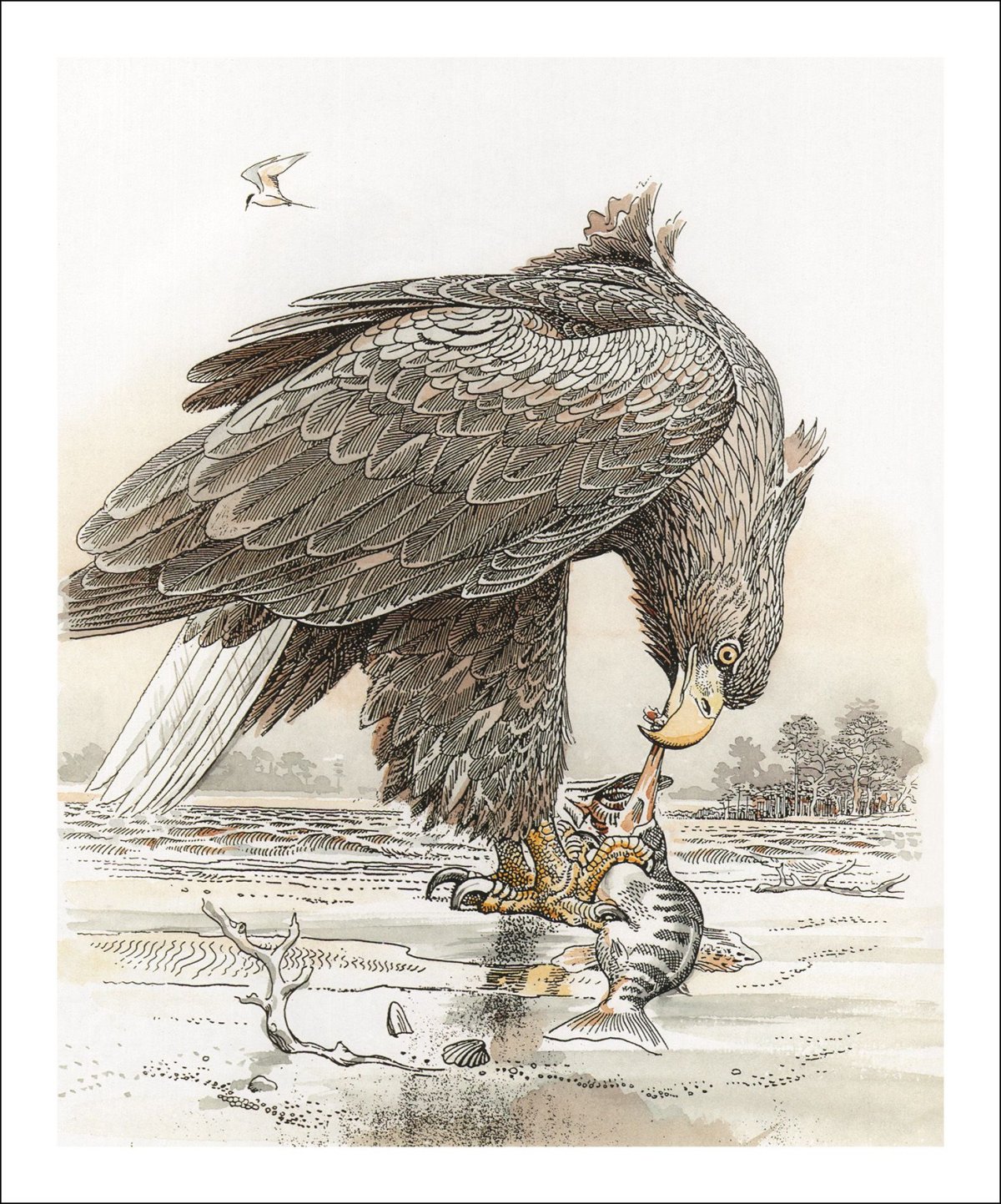 Война Орлов басня