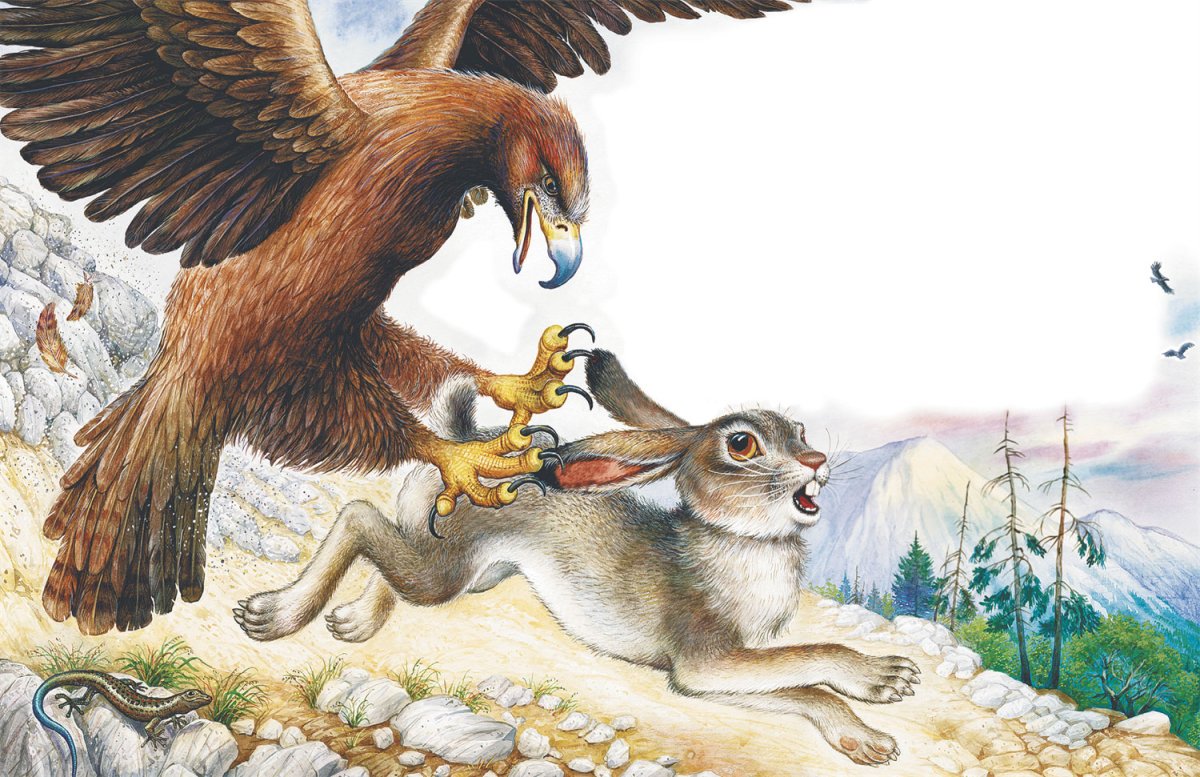 Николай Сладков хитрющий зайчишка