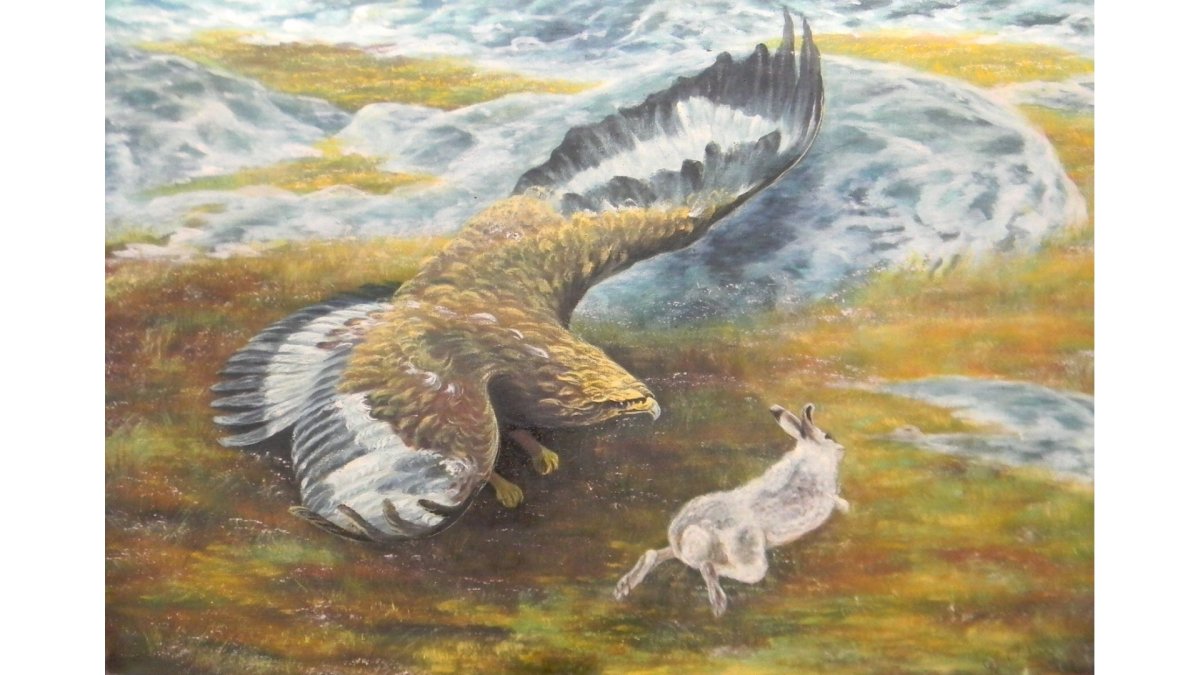 Орел и кошка Ушинский