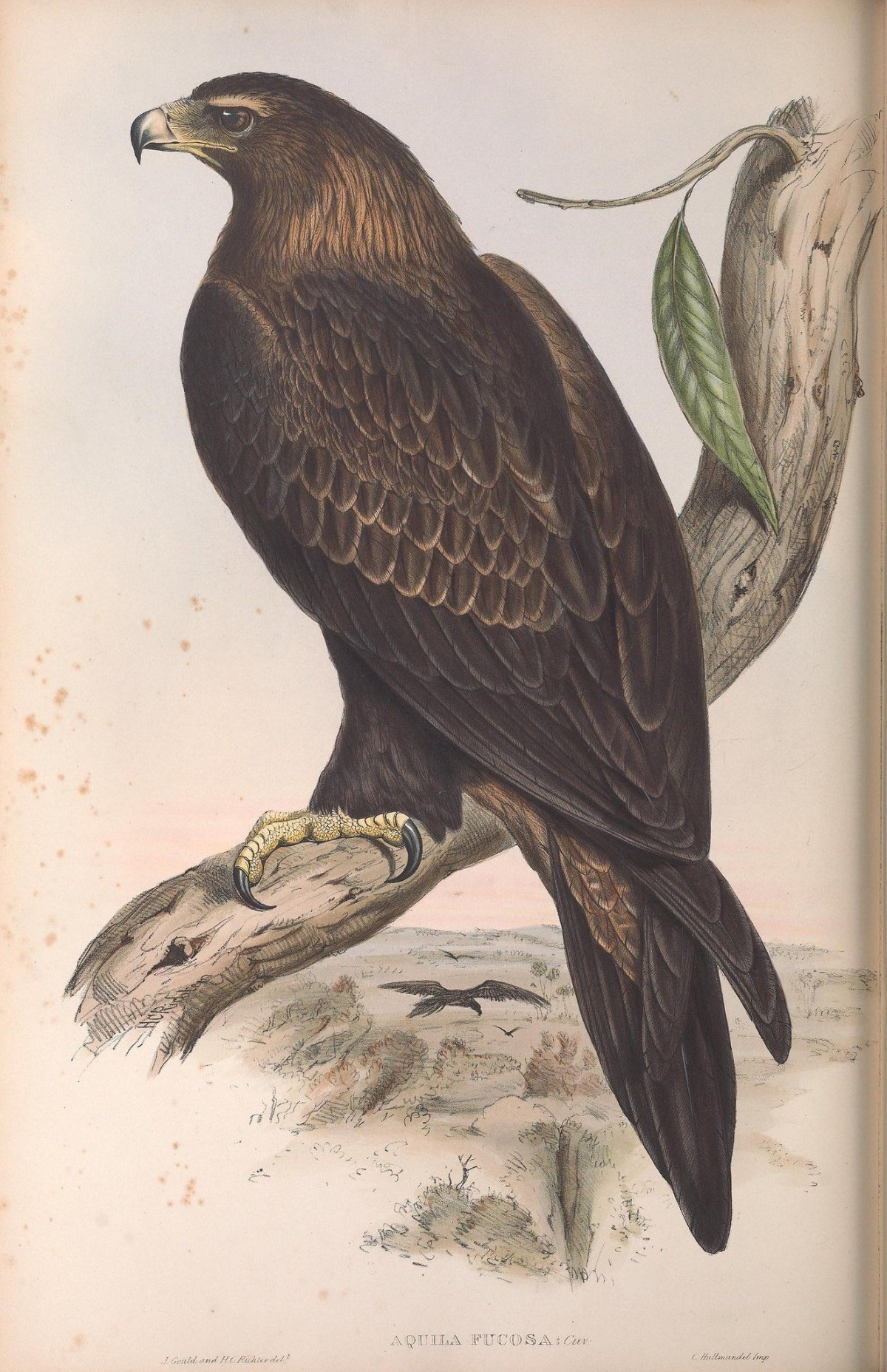 Константин Ушинский "Бишка"