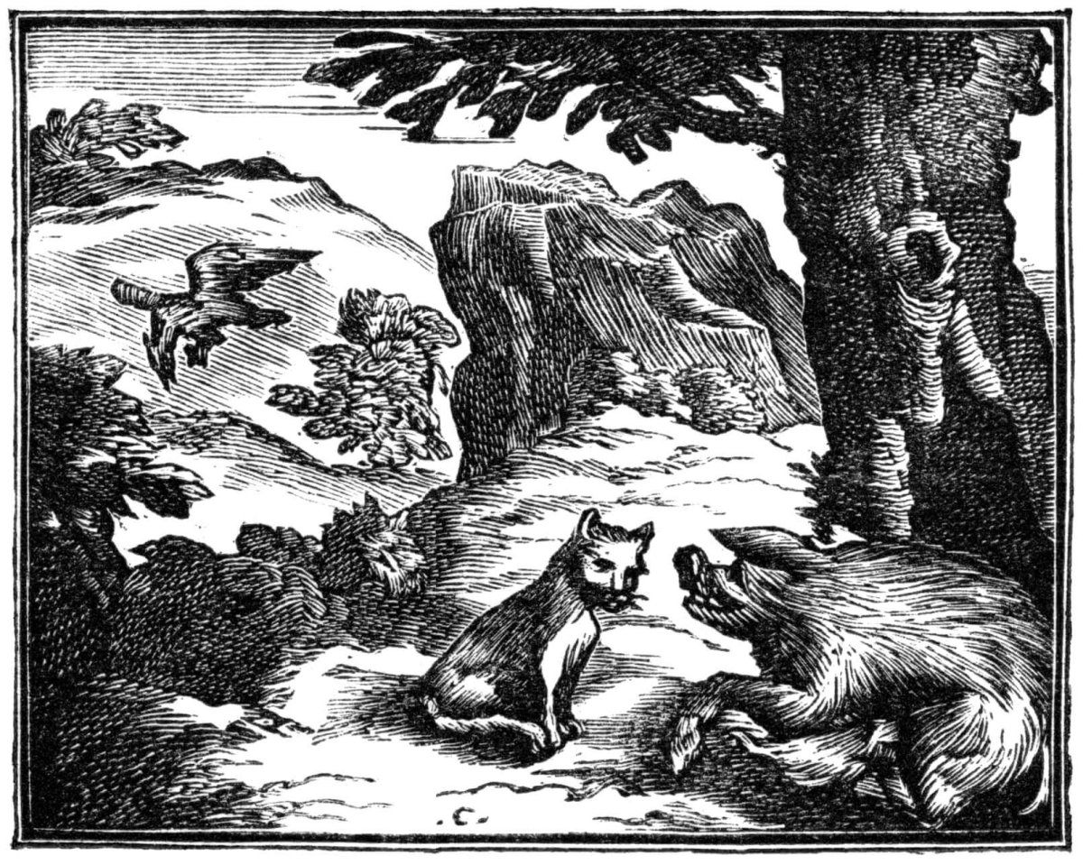 Книга Орел и кошка