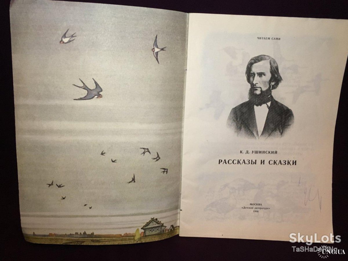 Орел в гнезде рисунок