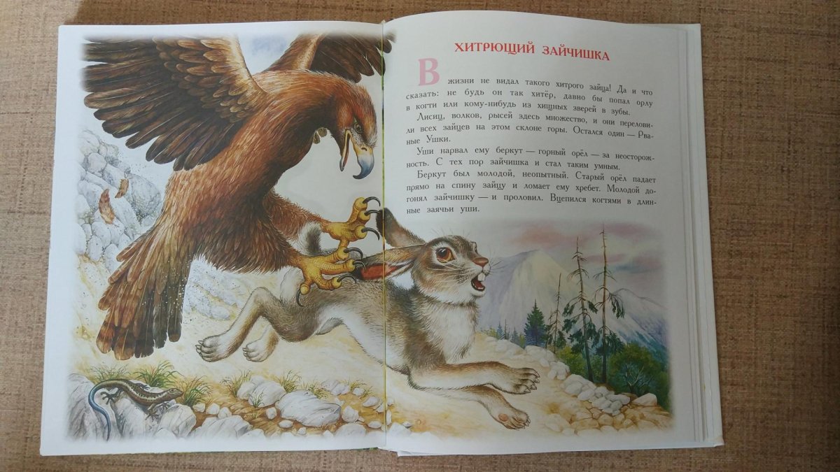 Синичка арт