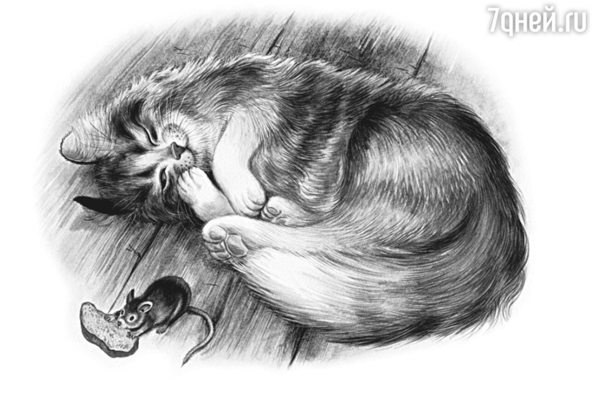 Кот охотится иллюстрация