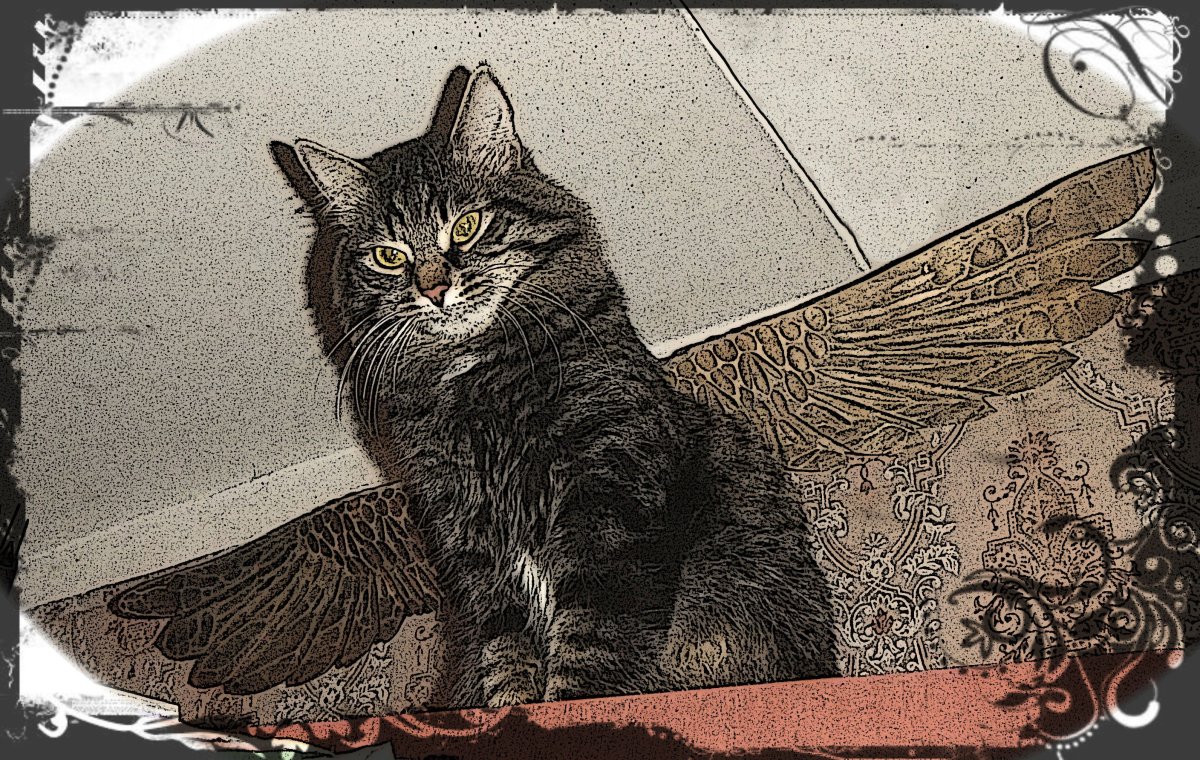 Кот Васька Ушинский