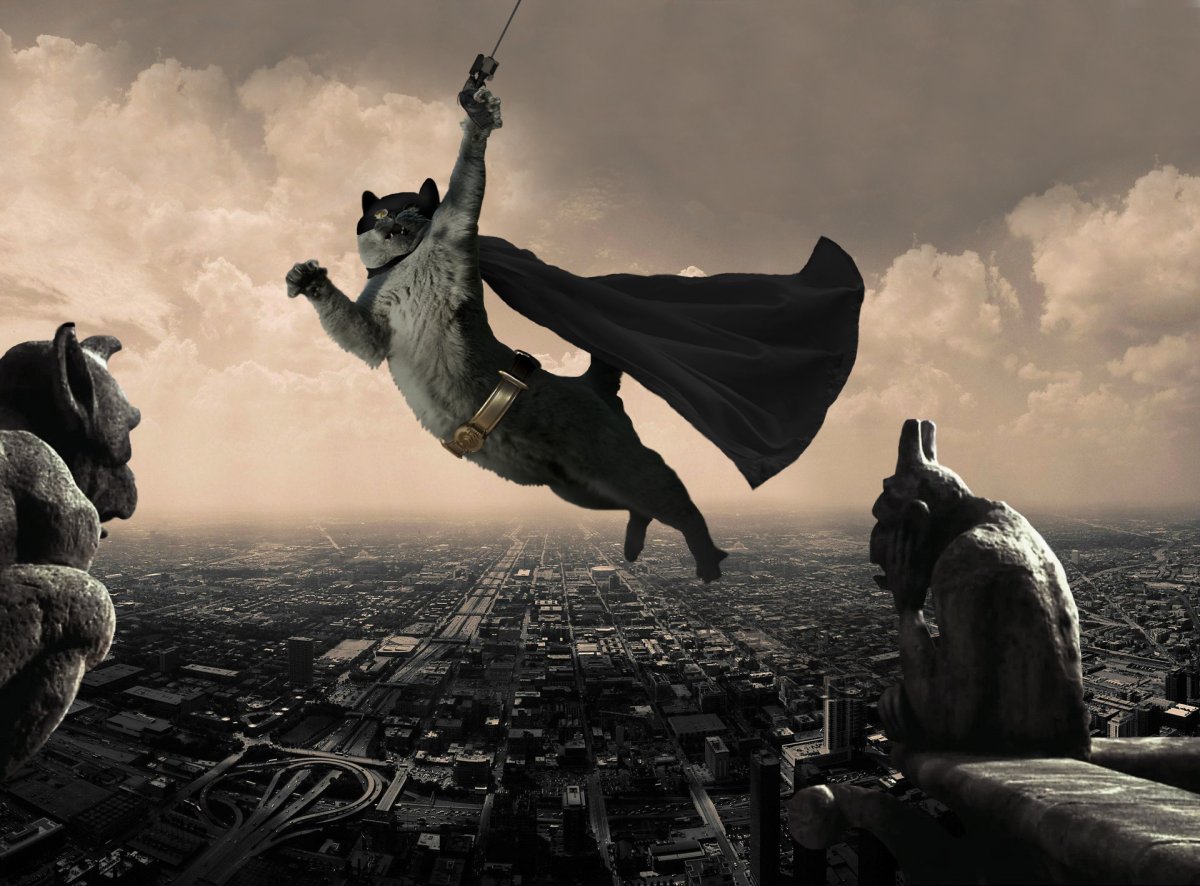 Орел защищает птенцов