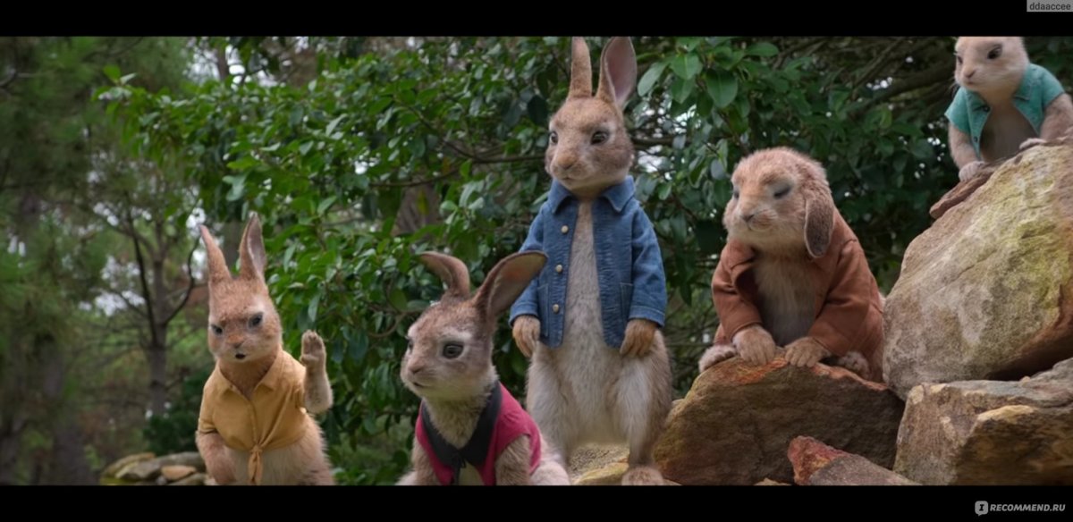 Peter Rabbit