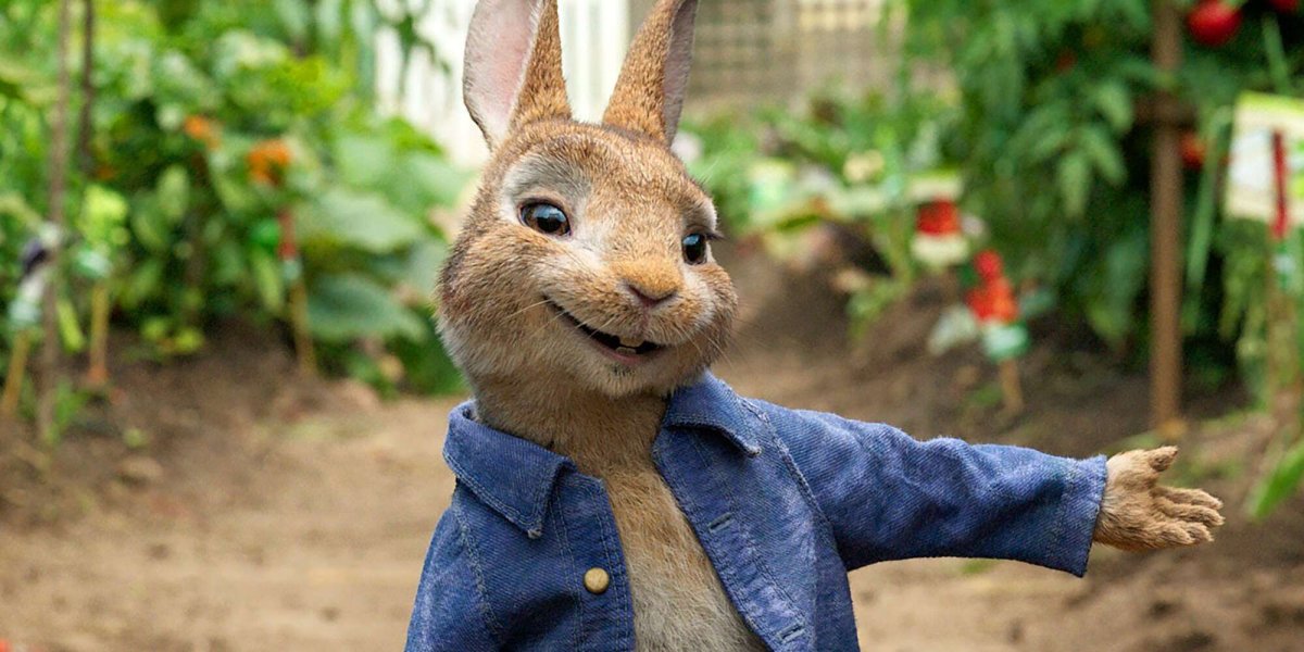 Огород из кролика Питера