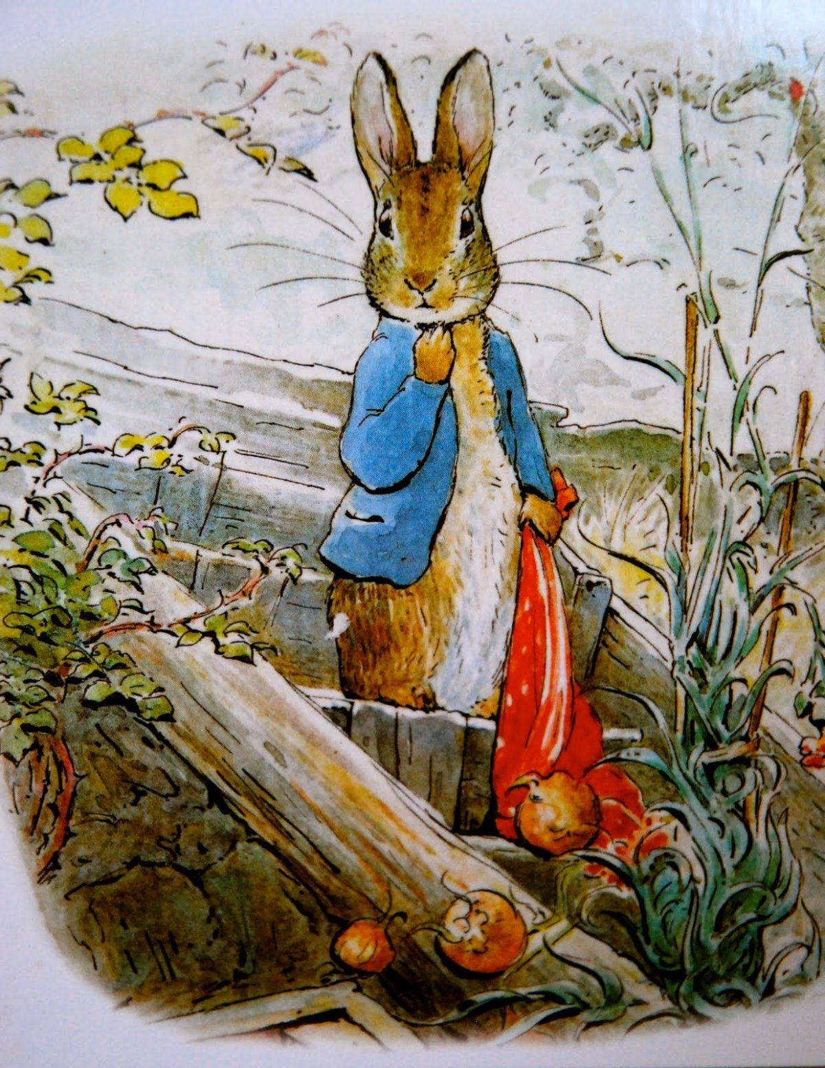 Peter Rabbit: goes to the Island