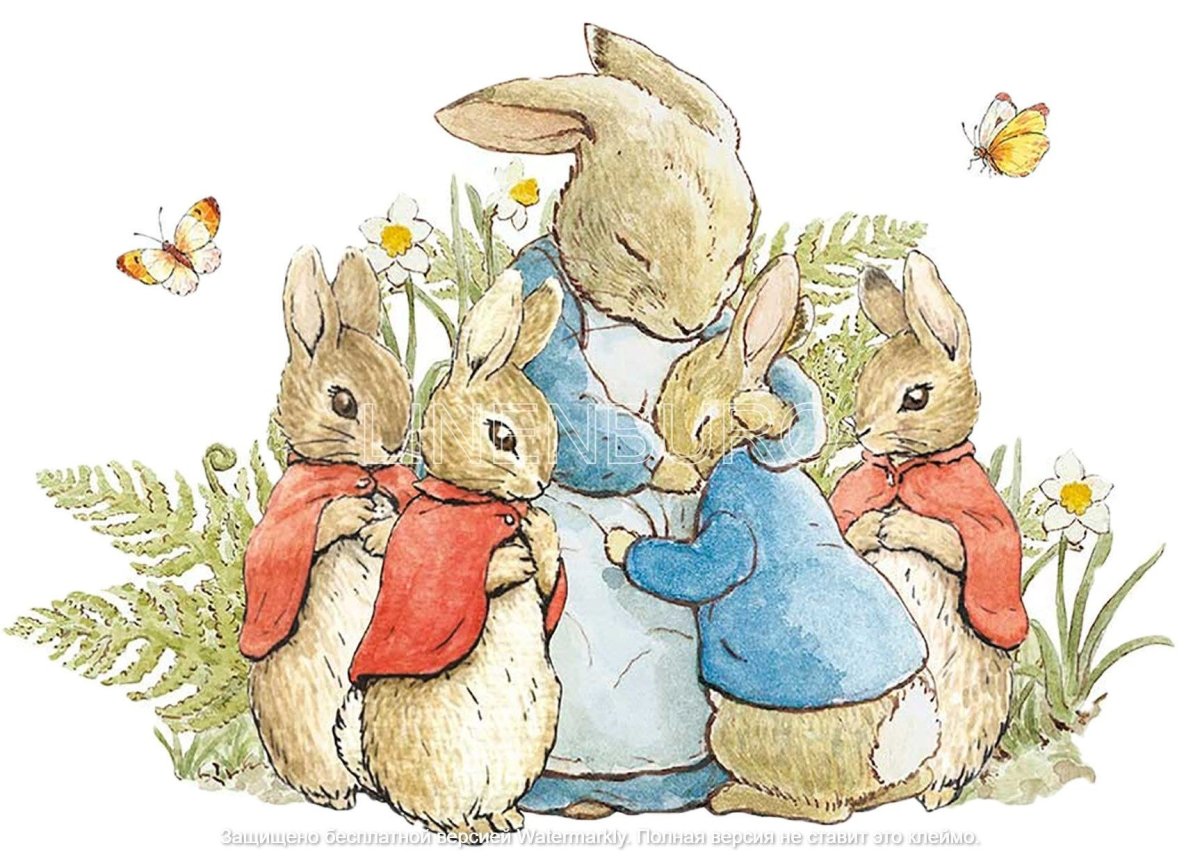 Беатрикс Поттер кролик Питер обложка