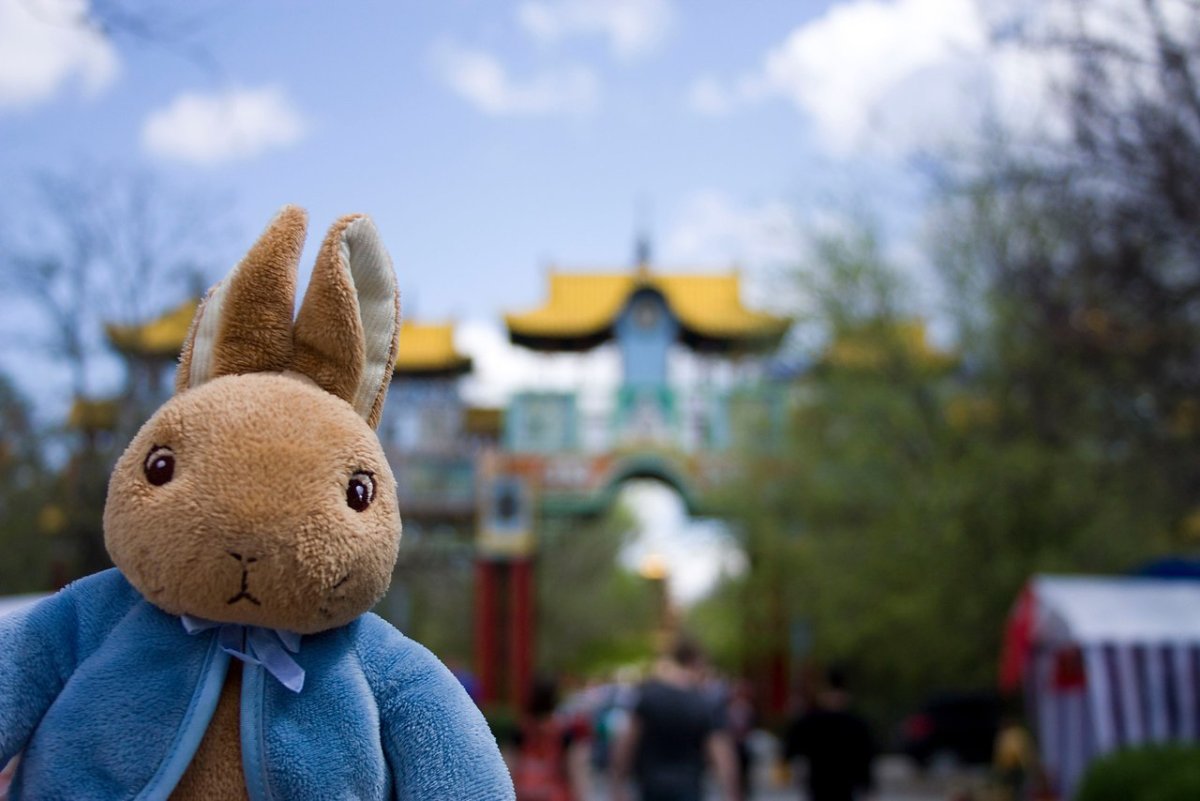 Фильм кролик Питер 1