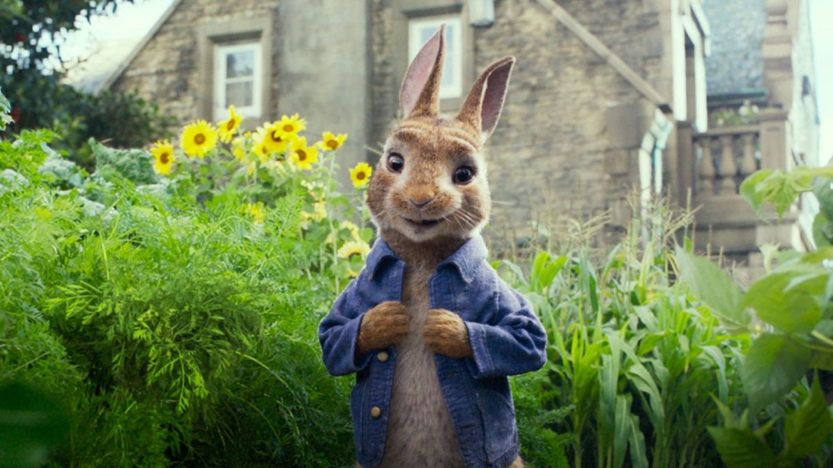 Peter Rabbit мультсериал