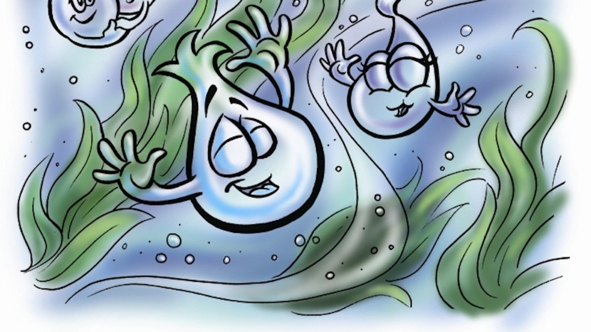 Путешествие капельки книжка