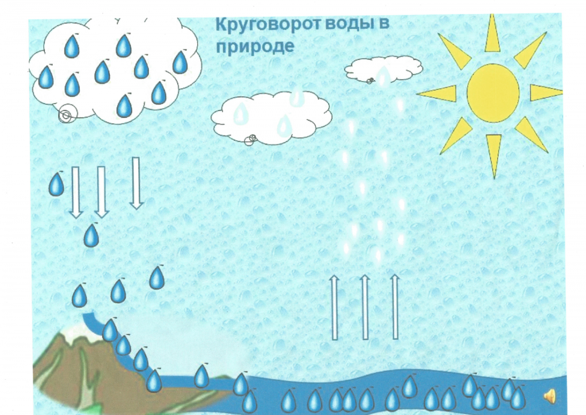 Путешествие капельки воды круговорот воды в природе
