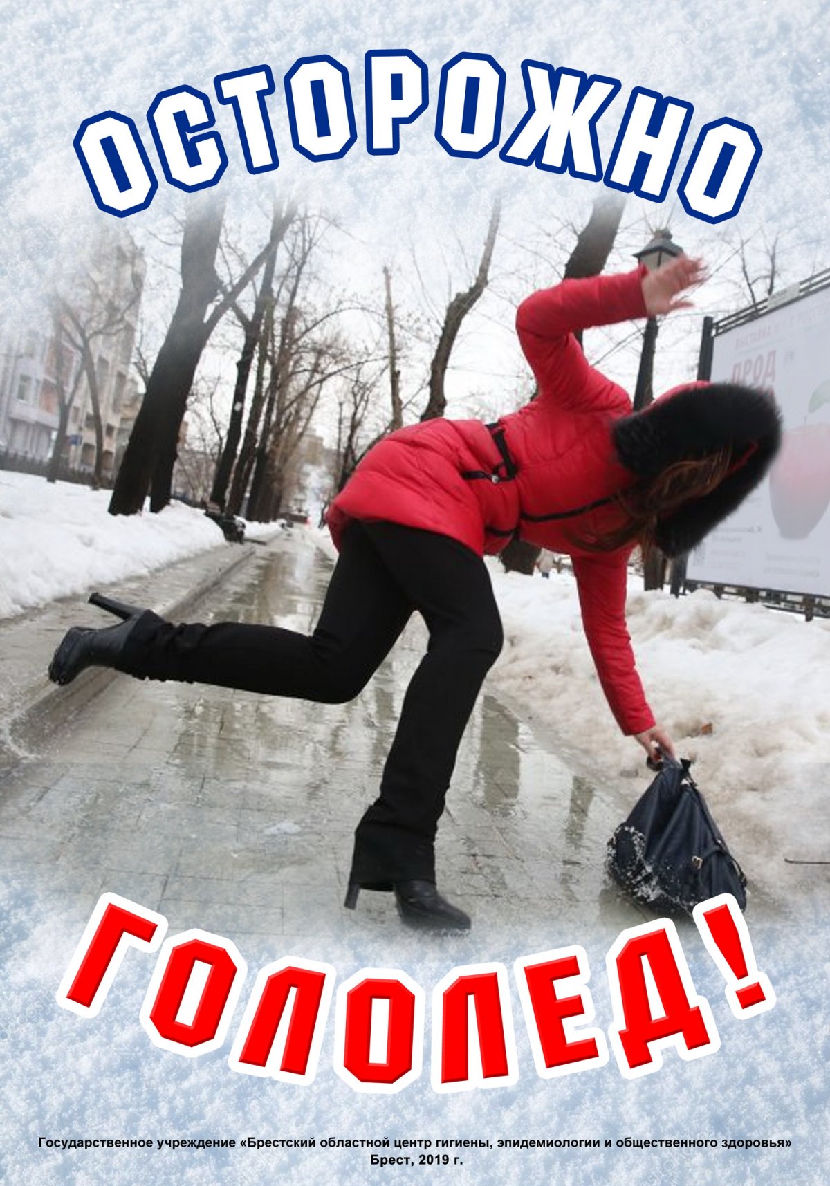 Гололед животные