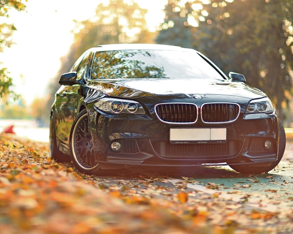 BMW f10 черный осень