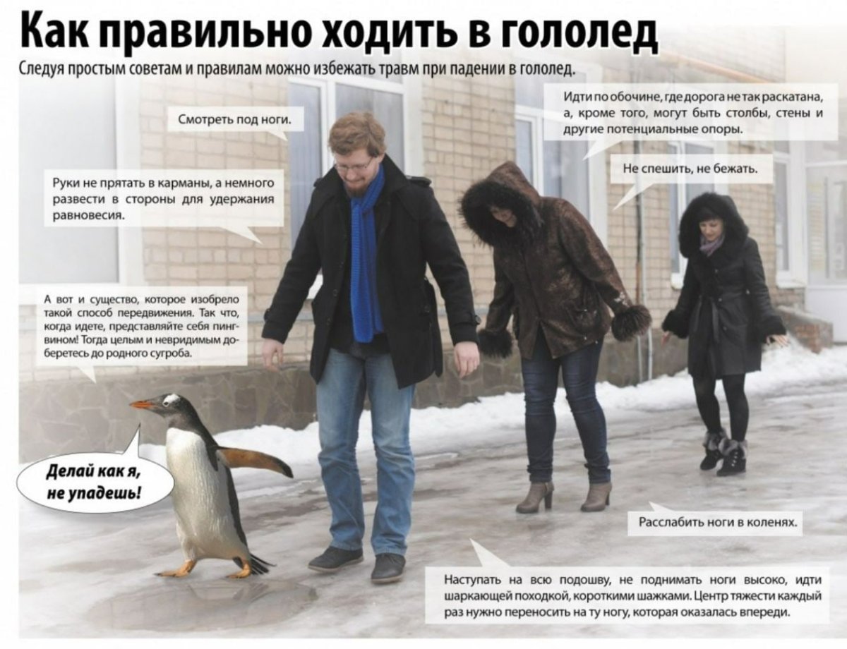 Пришла зима со Снегопадом сухой асфальт сменив на гололед