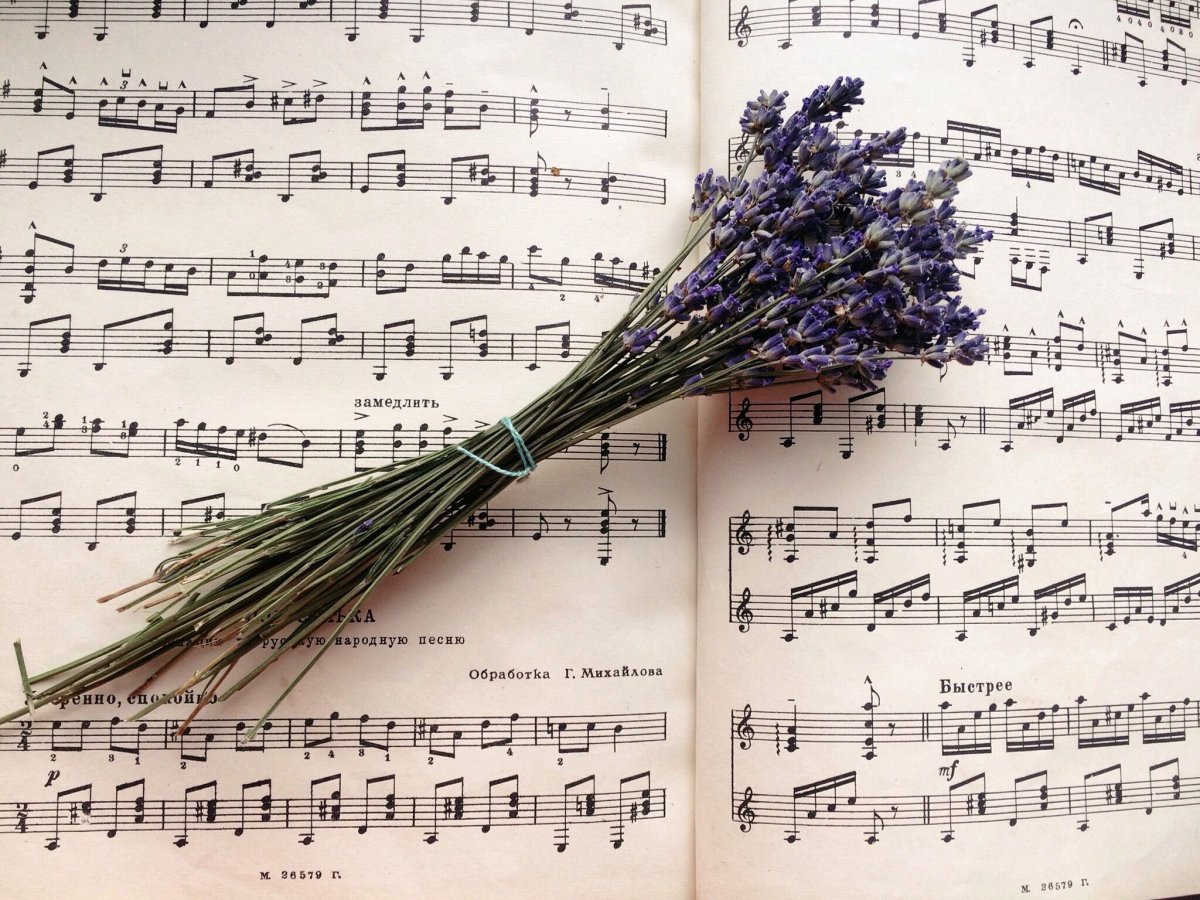 Ноты Эстетика