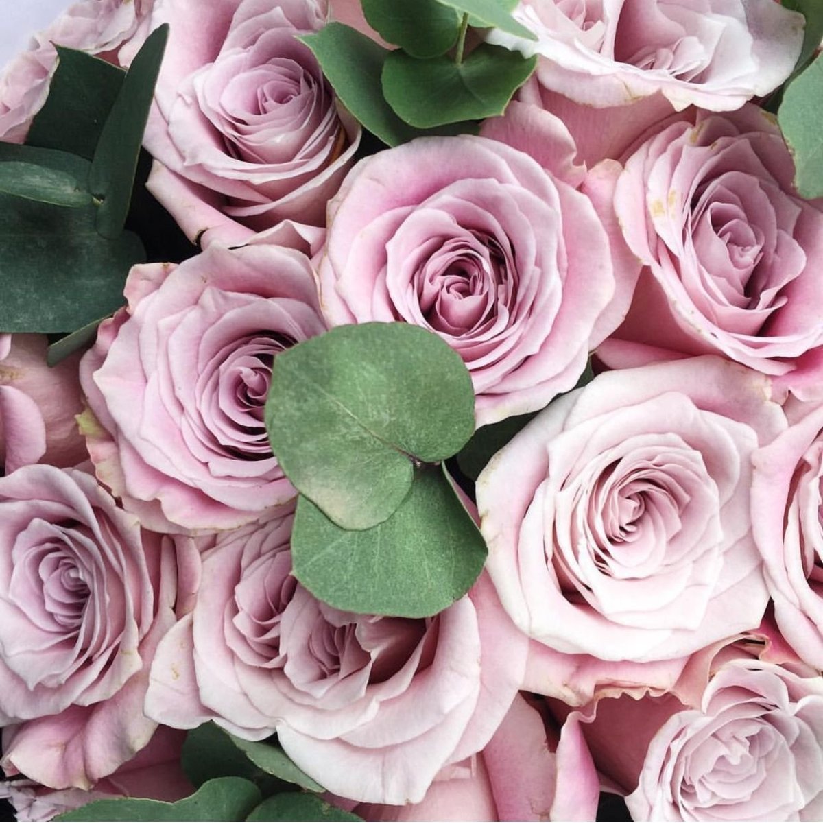 Розовый букет пинтерст